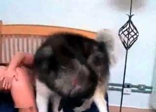 Hottie loves her chubby husky