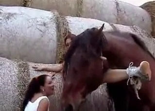 Brown horse loves human pussy