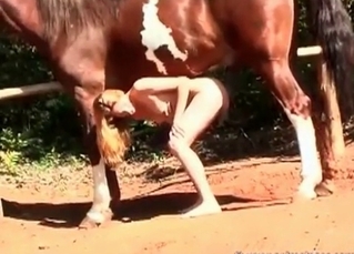 Horse dick for a filthy chick