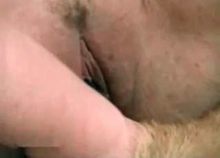 She’s jumping on its cock like crazy