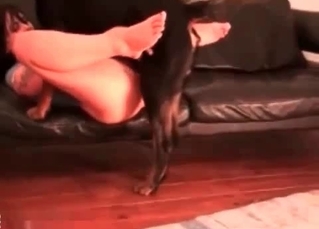 Depraved babe loving that hound cock