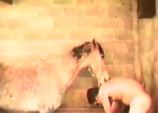 Guys gangbanging a hot horse