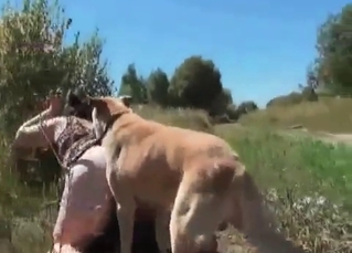 Outdoors sex scene with a hot dog