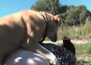 Outdoors sex scene with a hot dog