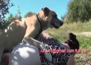 Outdoors sex scene with a hot dog