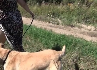 Outdoors sex scene with a hot dog