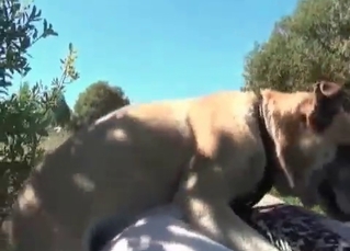 Outdoors sex scene with a hot dog