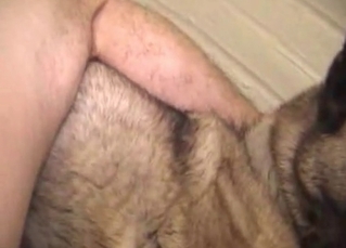 Ass drilling for a slutty husky