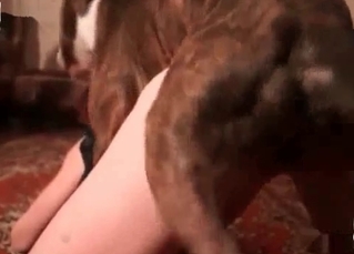 MILF and a mongrel
