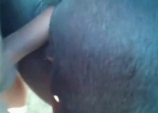 Pony gets fucked by its owner