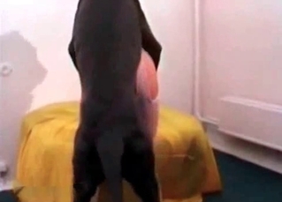 Black Doberman and a slutty babe