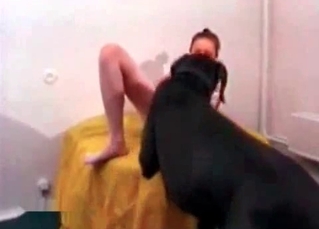 Black Doberman and a slutty babe