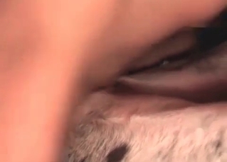 Horny dude fucking his slutty hound