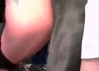 Gorgeous slut with a big ass gets nailed