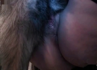 Fetish sex featuring a depraved dog