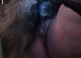 Fetish sex featuring a depraved dog