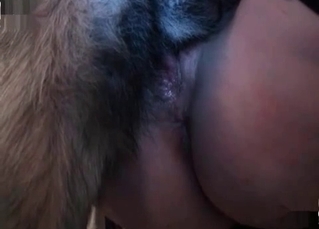 Fetish sex featuring a depraved dog