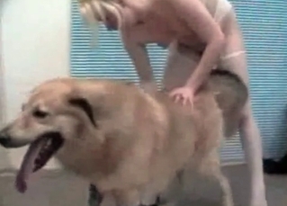 Mongrel being teased on cam