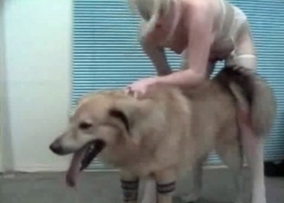 Mongrel being teased on cam