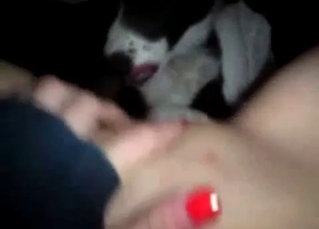 Cunnilingus from a husky