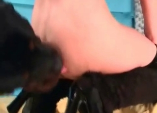 Intense, brutal dog sex
