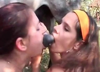 Kinky pony fucking two babes