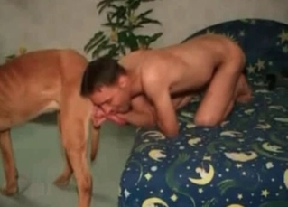 Animal gets to experience the nastiest BJ