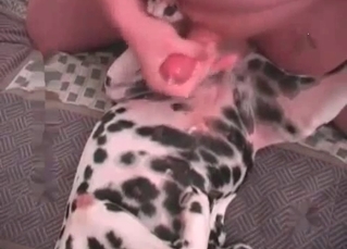 Anal drilling for a tight doggy