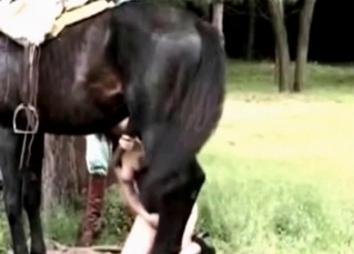 Hung horse screwing a hot babe