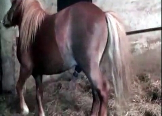 Obedient pony showing its true colors