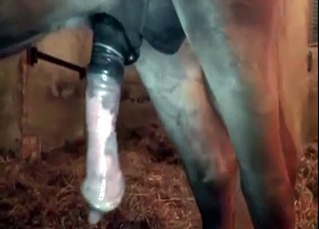 Obedient pony showing its true colors