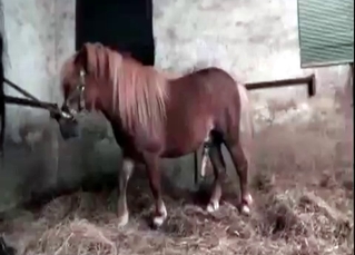 Obedient pony showing its true colors