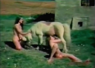 Stallion fucking like a champ