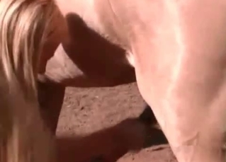 Stallion loves anal more than anything