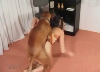 Married chick fucking a dog