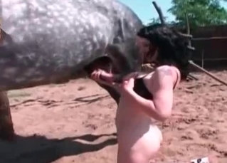This horse is all about the pleasure