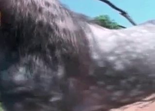 This horse is all about the pleasure