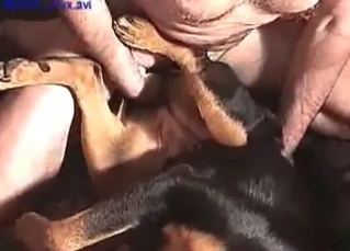Fat dude drilling a dog