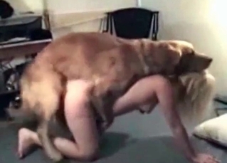 Intense doggy pounding its owner