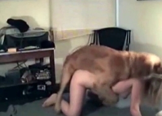 Intense doggy pounding its owner