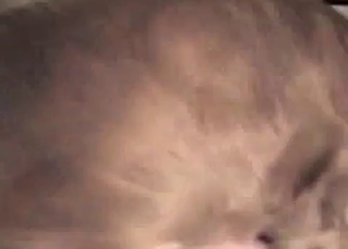 Intense doggy pounding its owner