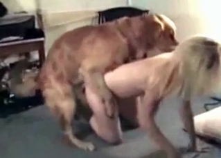 Intense doggy pounding its owner