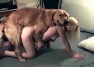 Intense doggy pounding its owner