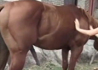 Sensational blonde fucking a horse