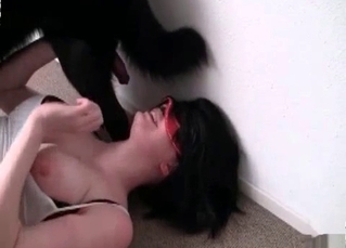 Dog cock orally serviced