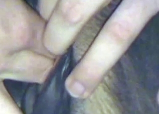 Mutt fucking its owner