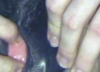 Mutt fucking its owner