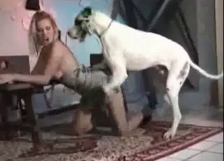 Frail chick and a big dog