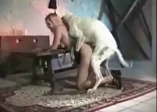 Frail chick and a big dog