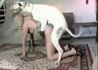 Frail chick and a big dog
